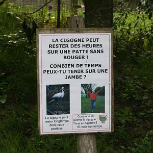 Stork Signage