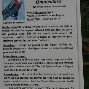 Eastern Rosella Signage