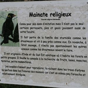 Common Hill Mynah Signage