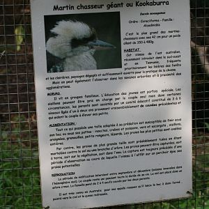 Kookaburra Signage