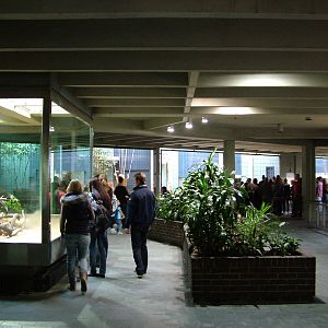 Carnivore House Interior at Berlin Zoo, 31/08/11