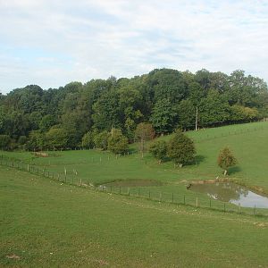 Indian rhinoceros exhibit