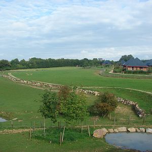 Indian rhinoceros exhibit