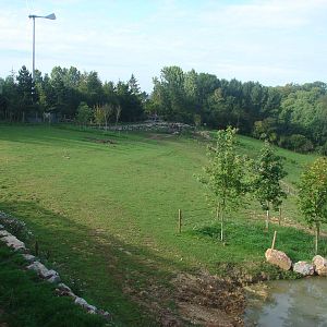 Indian rhinoceros exhibit