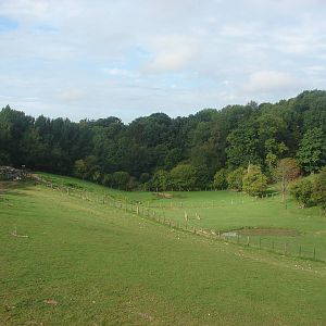 Indian rhinoceros exhibit
