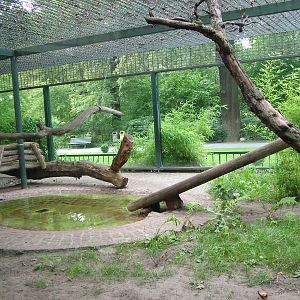 Outdoor Tayra Exhibit at Berlin Zoo, 31/08/11