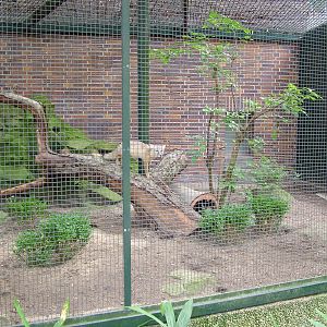 Carnivore House at Berlin Zoo, 31/08/11