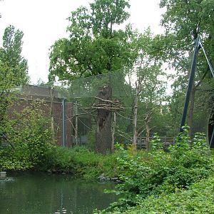 Primate House at Berlin Zoo, 31/08/11
