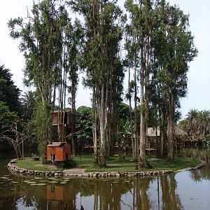 Interesting mixed exhibit