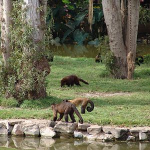 Interesting mixed exhibit