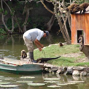 Interesting mixed exhibit