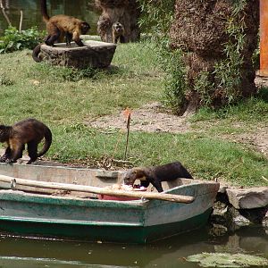 Interesting mixed exhibit: 'raiding' the boat while the keeper is away...