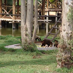 Interesting mixed exhibit