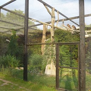 African bird exhibit 2