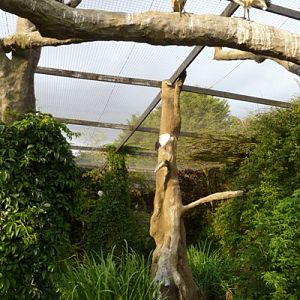 African bird exhibit 4