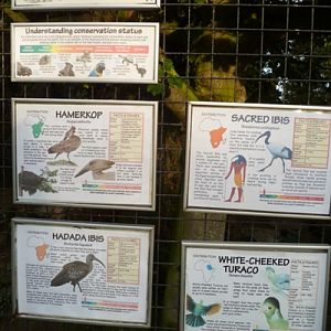 African bird exhibit info posters