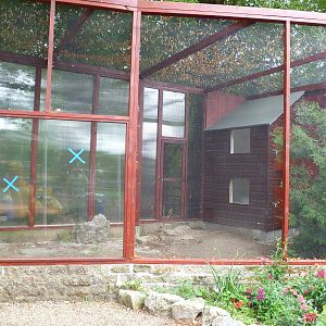 New exhibit being built