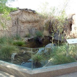 Marsh Exhibit