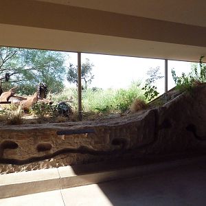 Vulture Statues + Prairie Dog Mock Tunnels