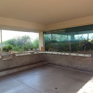 Burrowing Owl Exhibit + Various Smaller Exhibits