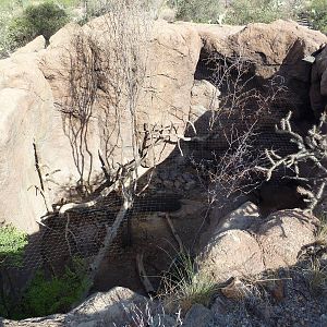 Cat Canyon - Porcupine Exhibit