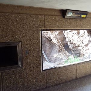 Cat Canyon - Gray Fox Exhibit