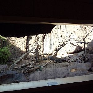 Cat Canyon - Porcupine Exhibit