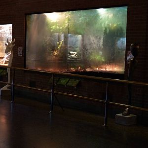 Strange Animal Sculptures in Reptile House