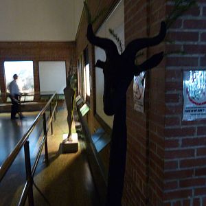 Art in the Reptile House