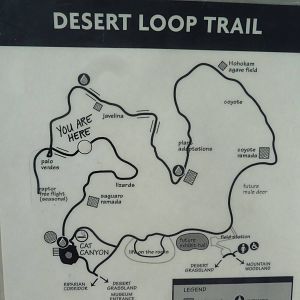 Desert Loop Trail - Map