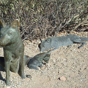 Coyote Statues
