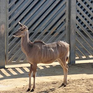 Can't remember the name, any help?