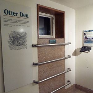 River Otter Exhibit - Den