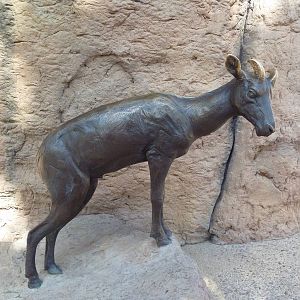 Desert Bighorn Sheep Statue