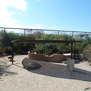 Desert Tortoise Exhibit + Walk-Through Aviary
