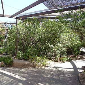 Walk-Through Hummingbird Aviary