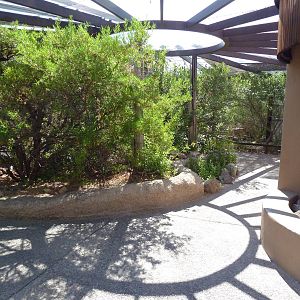 Walk-Through Hummingbird Aviary