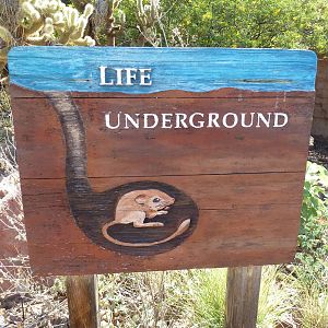 Life Underground - Entrance Sign