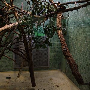 Prevost's Squirrel Exhibit at Berlin Zoo, 31/08/11