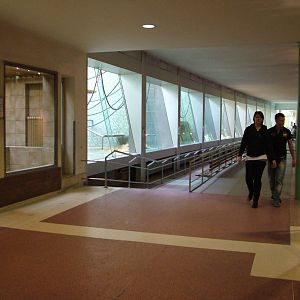 Primate House Interior at Berlin Zoo, 31/08/11
