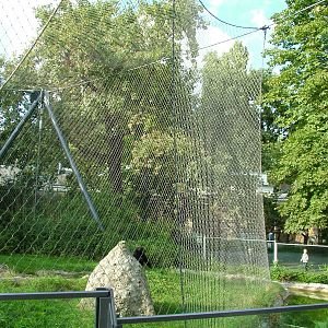 Chimpanzee Exhibit at Berlin Zoo, 31/08/11