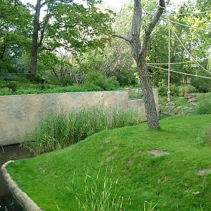 Gorilla Exhibit at Berlin Zoo, 31/08/11