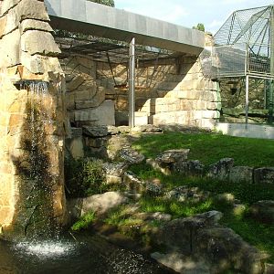 Gorilla Exhibit at Berlin Zoo, 31/08/11