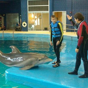 Dolphin In-water Adventure