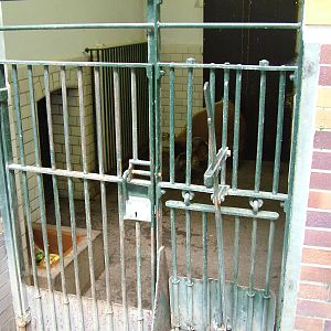Swine House Interior at Berlin Zoo, 31/08/11