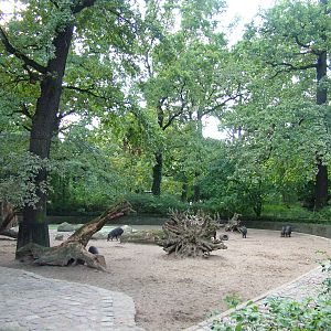 Swine House at Berlin Zoo, 31/08/11