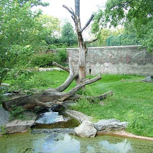 Brown Bear Exhibit at Berlin Zoo, 31/08/11