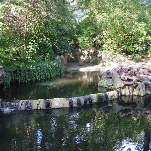 Beaver Exhibit at Berlin Zoo, 31/08/11