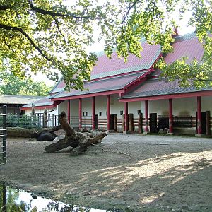 South-east Asian Cattle House at Berlin Zoo, 31/08/11