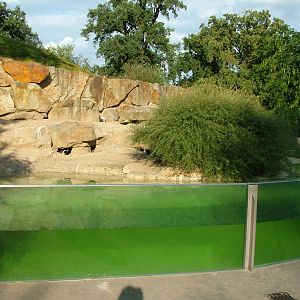 Penguin Exhibit at Berlin Zoo, 31/08/11